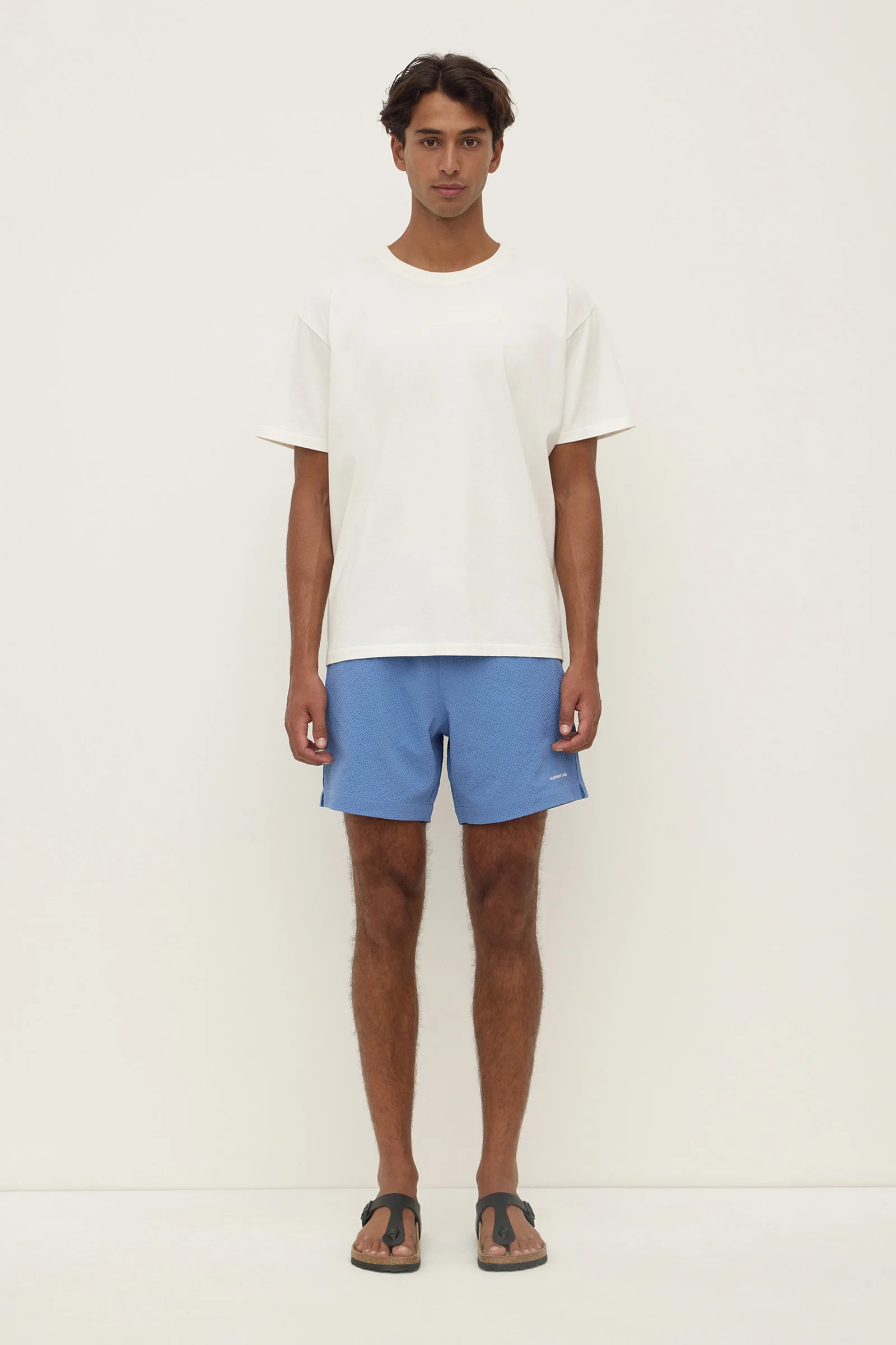 Seth Swim Short